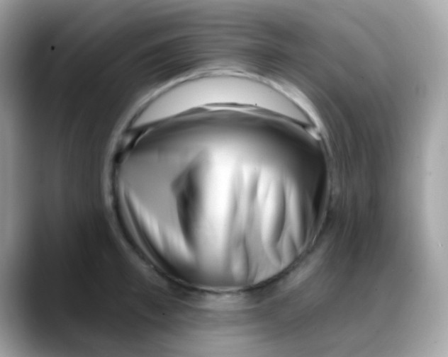 X0000088040997200706011321