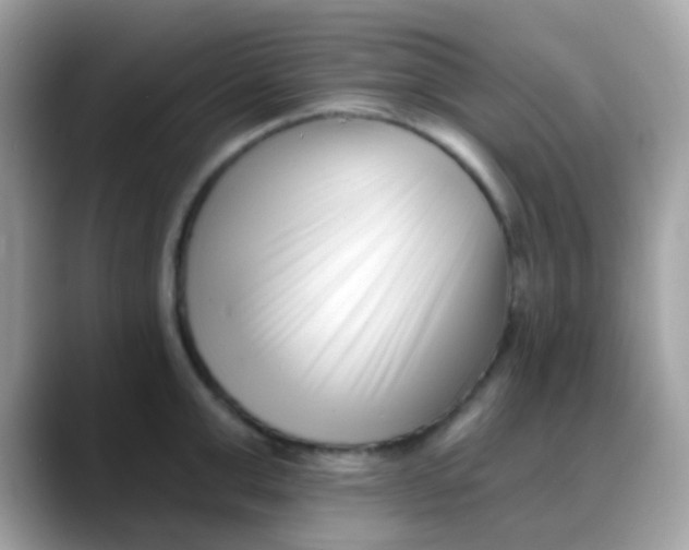 X0000088040999200706011320