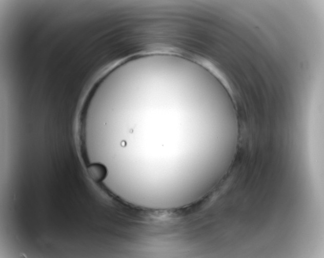 X0000088041003200706011320