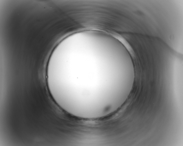 X0000088041004200706011320