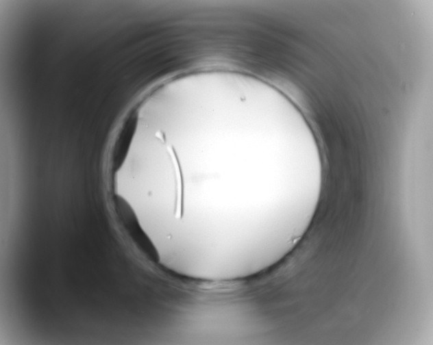 X0000088041008200706011320