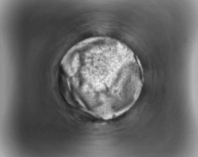 X0000088041009200706011320