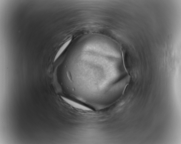 X0000088041010200706011320