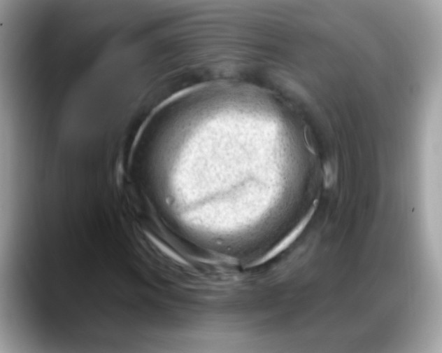 X0000088041011200706011320