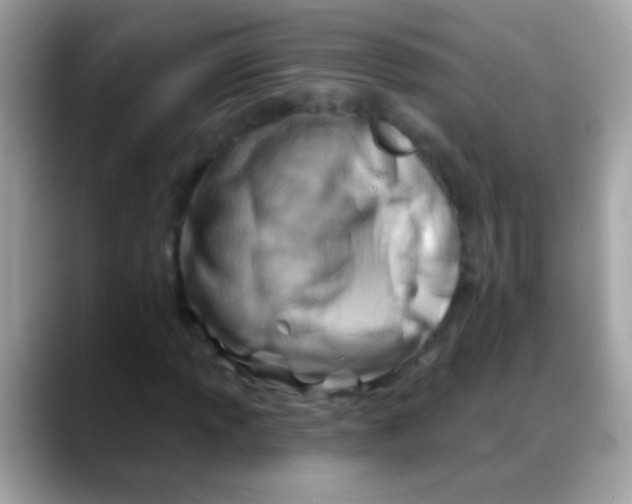 X0000088041013200706011320