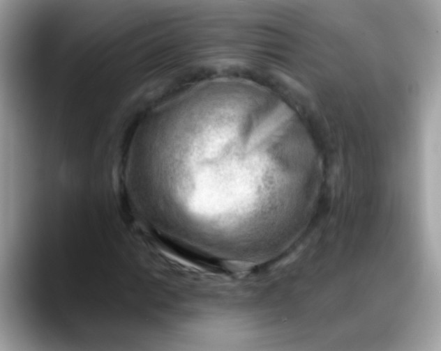 X0000088041014200706011320