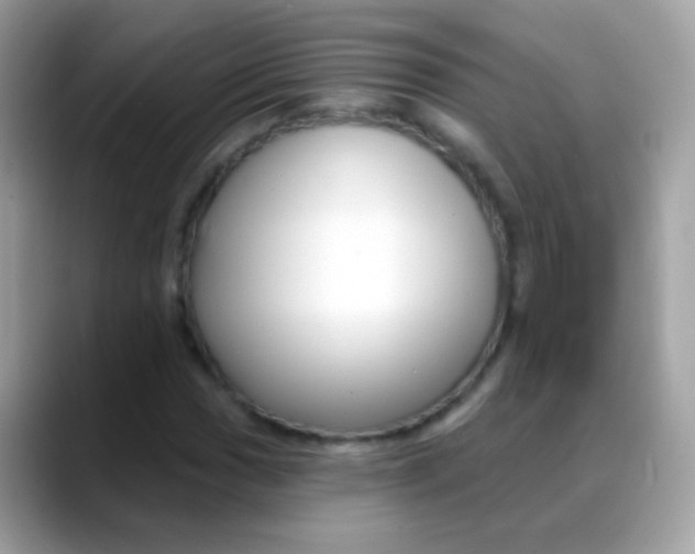 X0000088041017200706011320