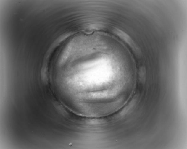 X0000088041018200706011320