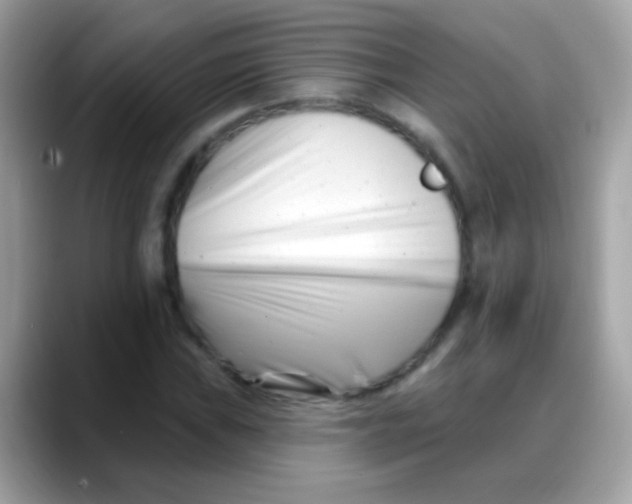 X0000088041019200706011320