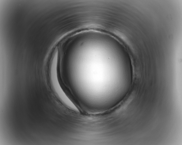 X0000088041022200706011320