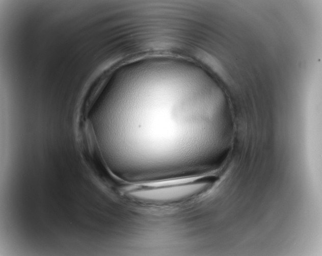 X0000088041026200706011320