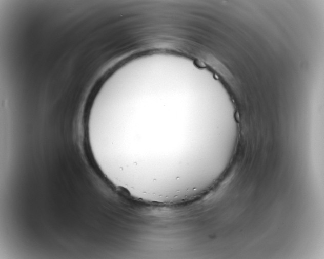 X0000088041028200706011320