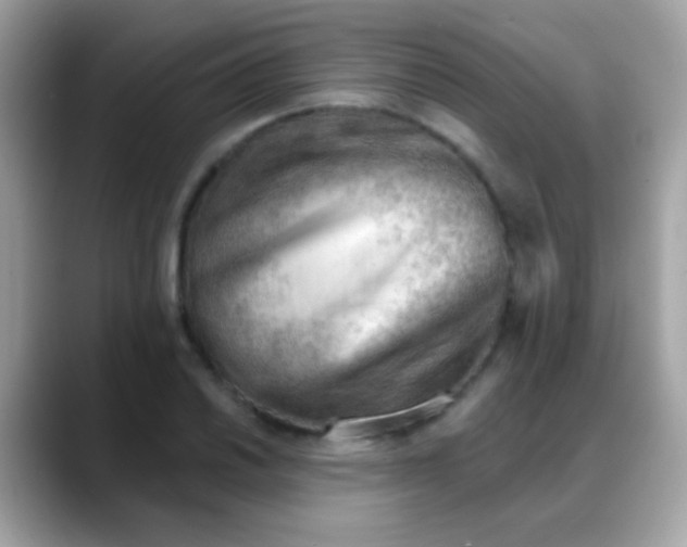 X0000088041030200706011320