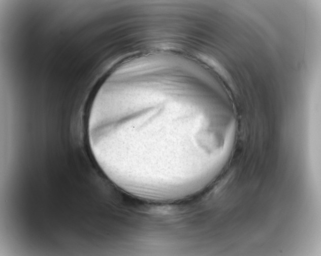 X0000088041031200706011320