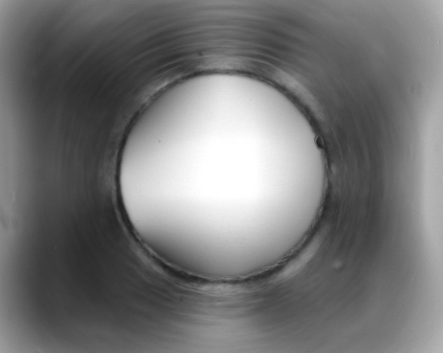 X0000088041033200706011320