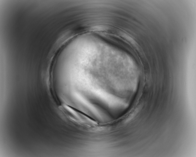 X0000088041034200706011320