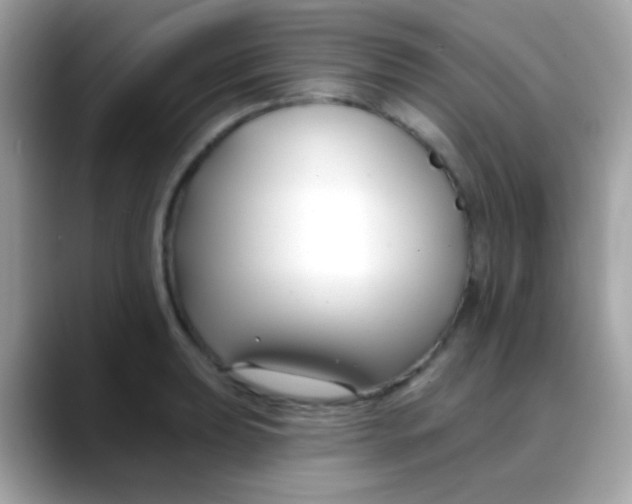 X0000088041039200706011320