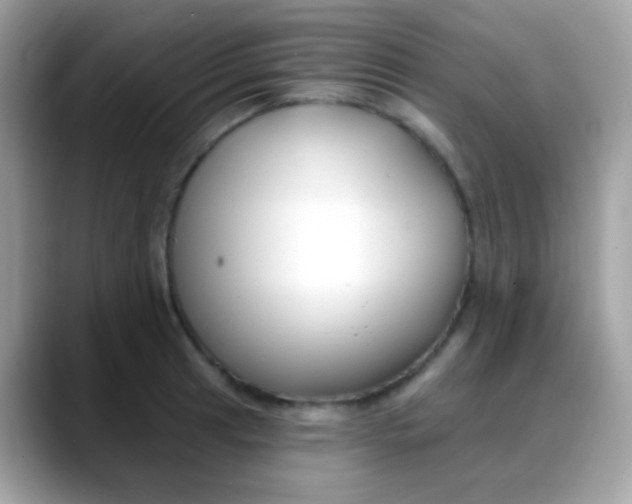 X0000088041041200706011320