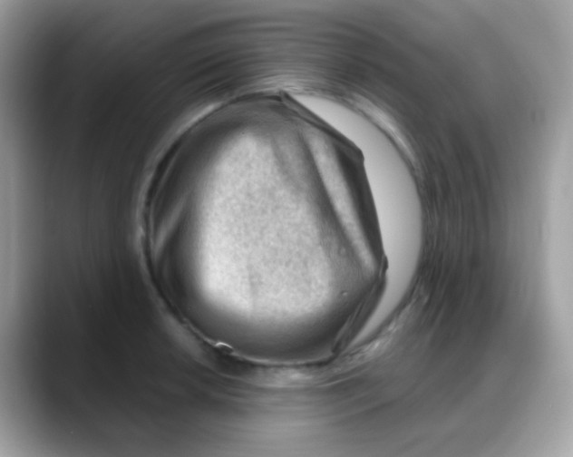 X0000088041042200706011320