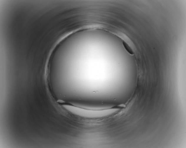 X0000088041044200706011320