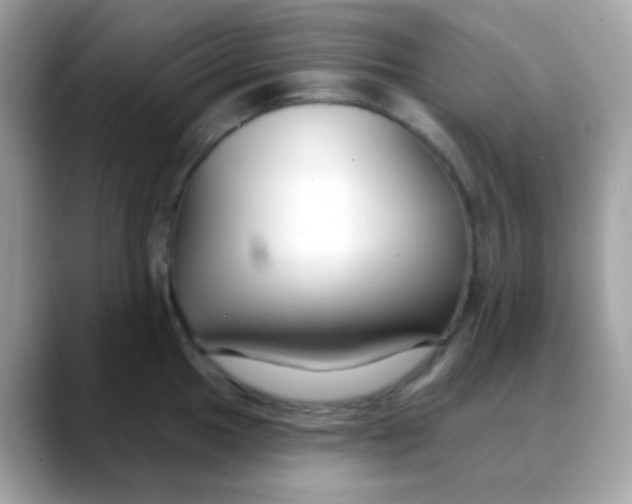 X0000088041049200706011320