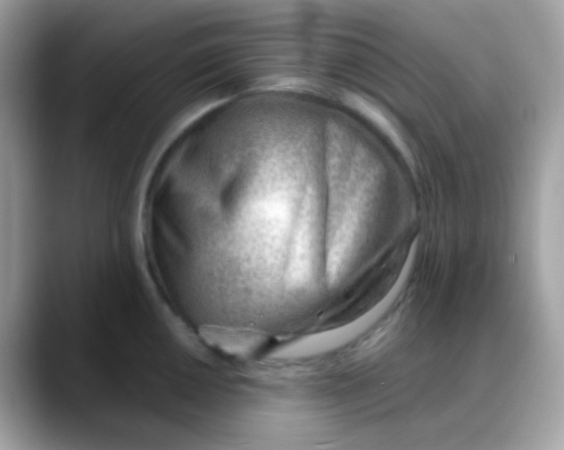 X0000088041050200706011320