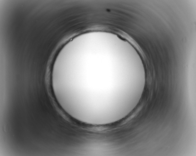 X0000088041053200706011320