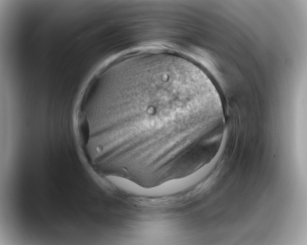 X0000088041054200706011320