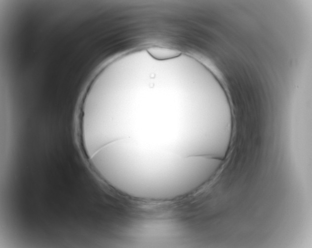 X0000088041056200706011320