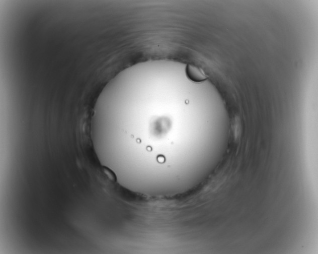 X0000088041059200706011320