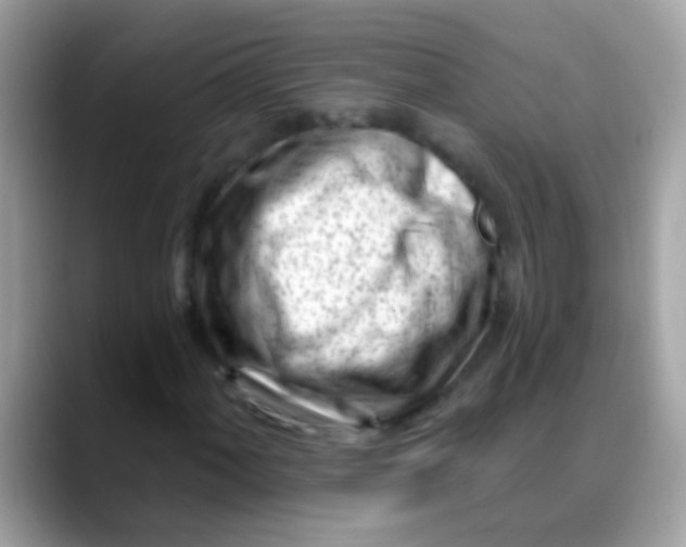 X0000088041060200706011320