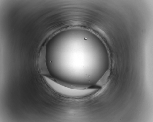 X0000088041065200706011320