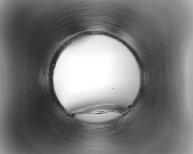 X0000088041068200706011320