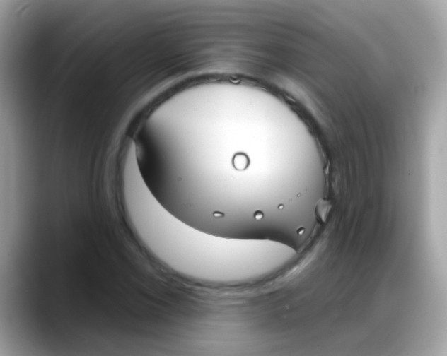 X0000088041069200706011320