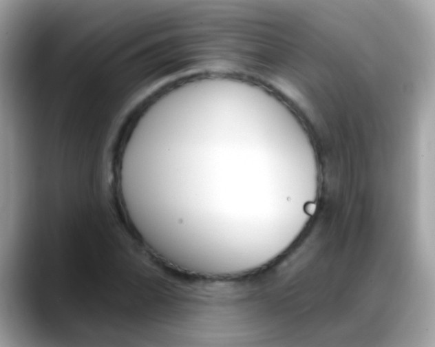 X0000088041070200706011320