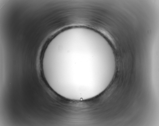 X0000088041072200706011319