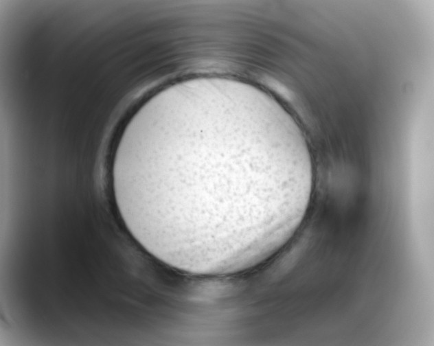 X0000088041074200706011319