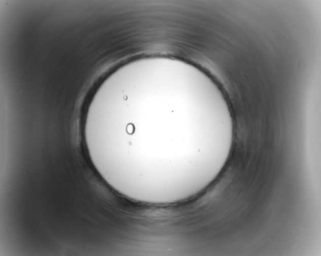 X0000088041075200706011319