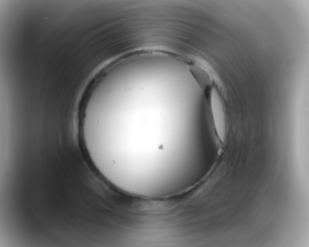 X0000088041076200706011319