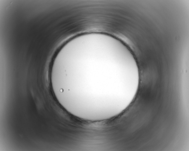 X0000088041078200706011319