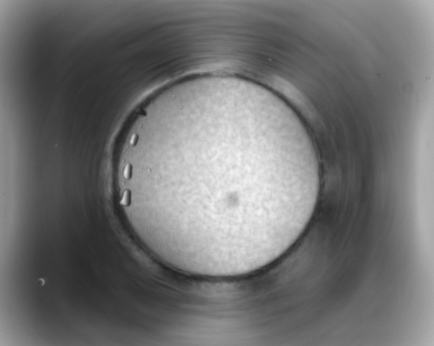 X0000088041079200706011319