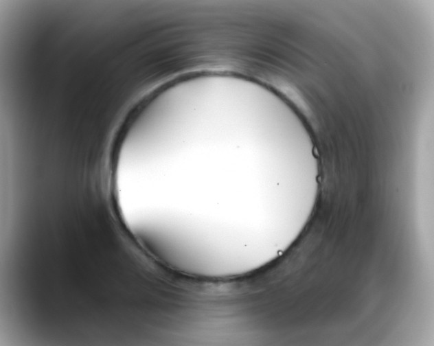 X0000088041080200706011319