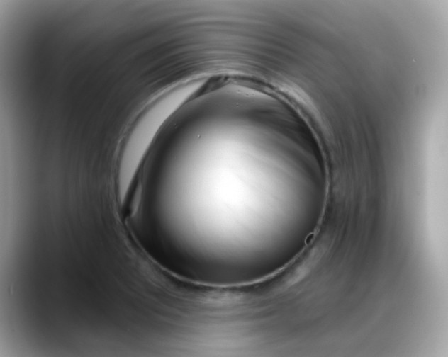 X0000088041081200706011319