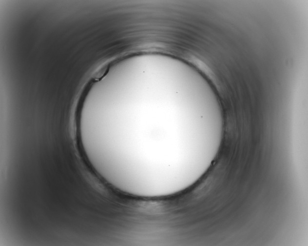 X0000088041082200706011319