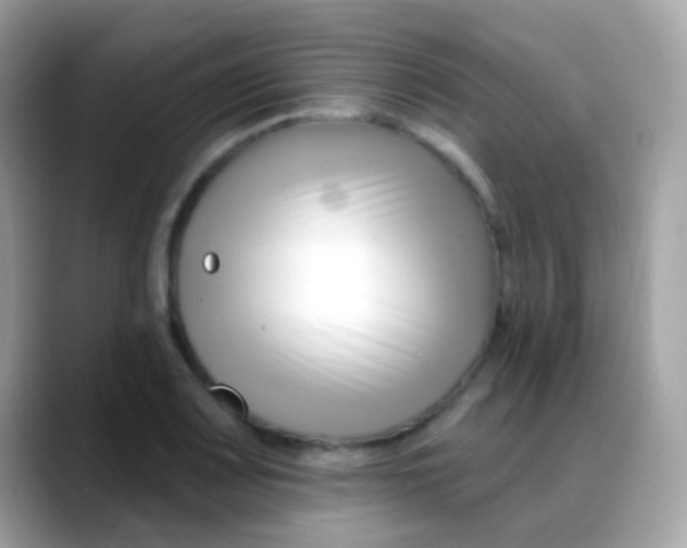 X0000088041083200706011319