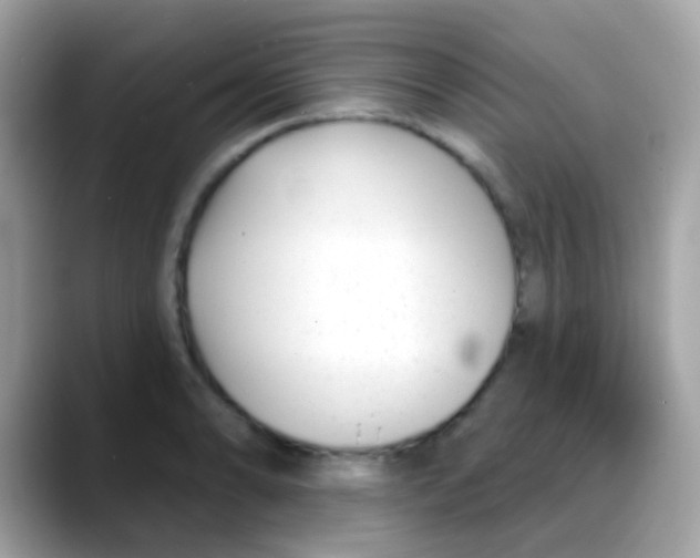 X0000088041086200706011319