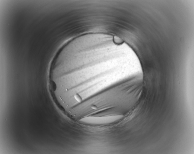 X0000088041087200706011319