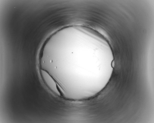 X0000088041088200706011319