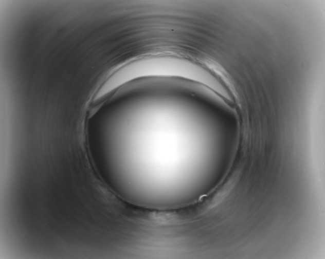 X0000088041089200706011319