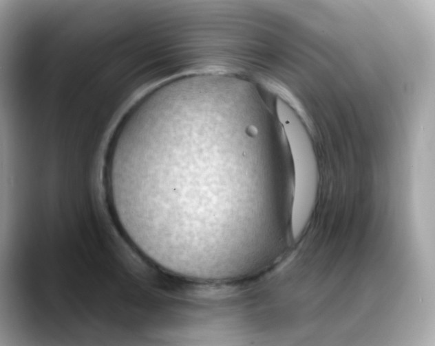 X0000088041091200706011319